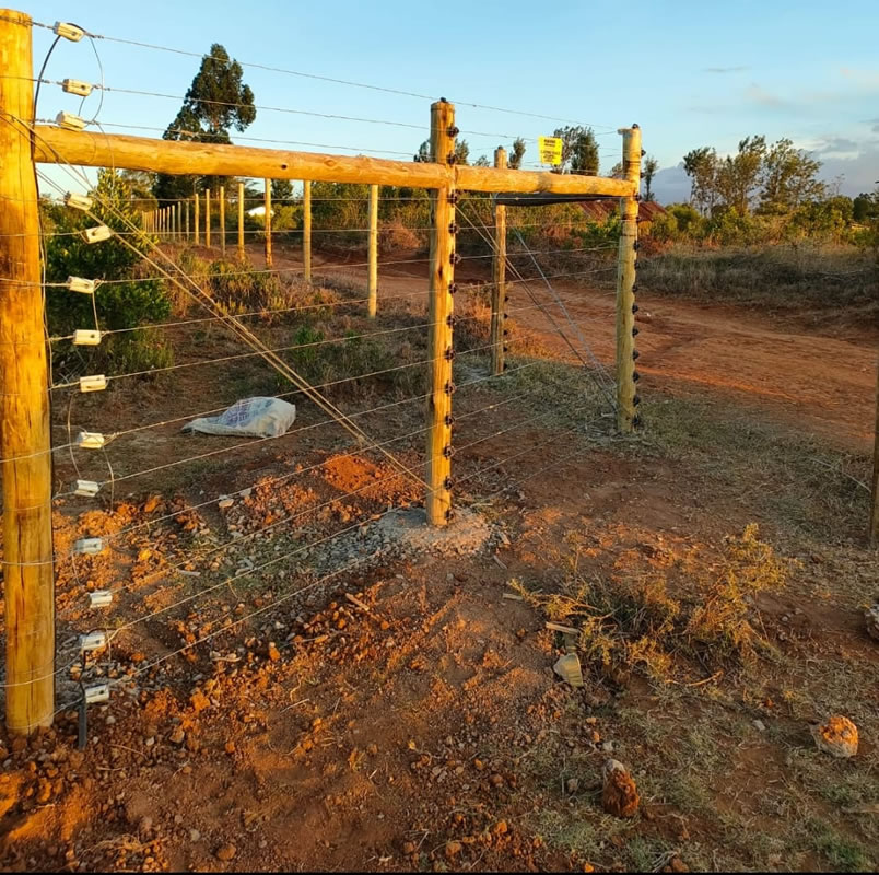 Electric Fences Kenya – Best security fences installer in kenya